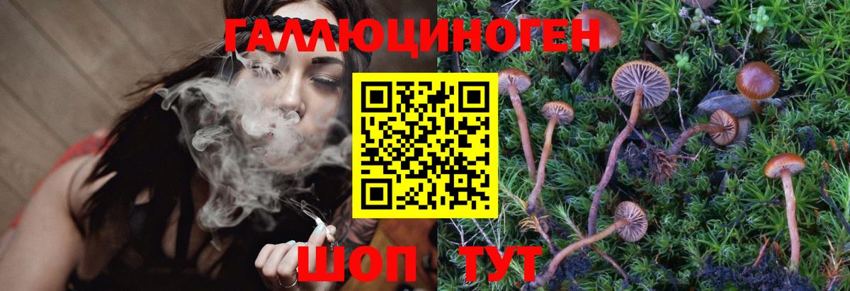 Галлюциногенные грибы Magic Shrooms Норильск