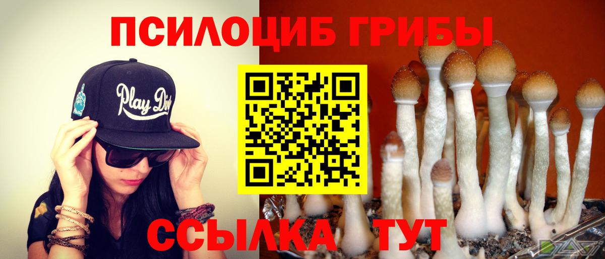 Галлюциногенные грибы Magic Shrooms  Вход с VPN  Норильск  Псилоцибиновые грибы GOLDEN TEACHER 