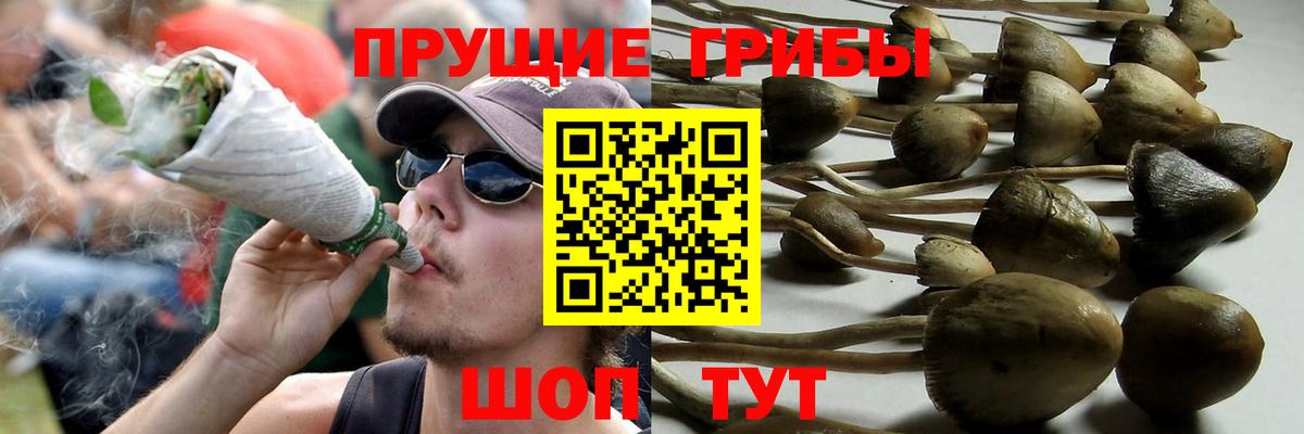 Меф кристаллы  ГАШ  Норильск  Вход с VPN  МЕФ  ГАШ  Бошки Шишки  Cocaine 